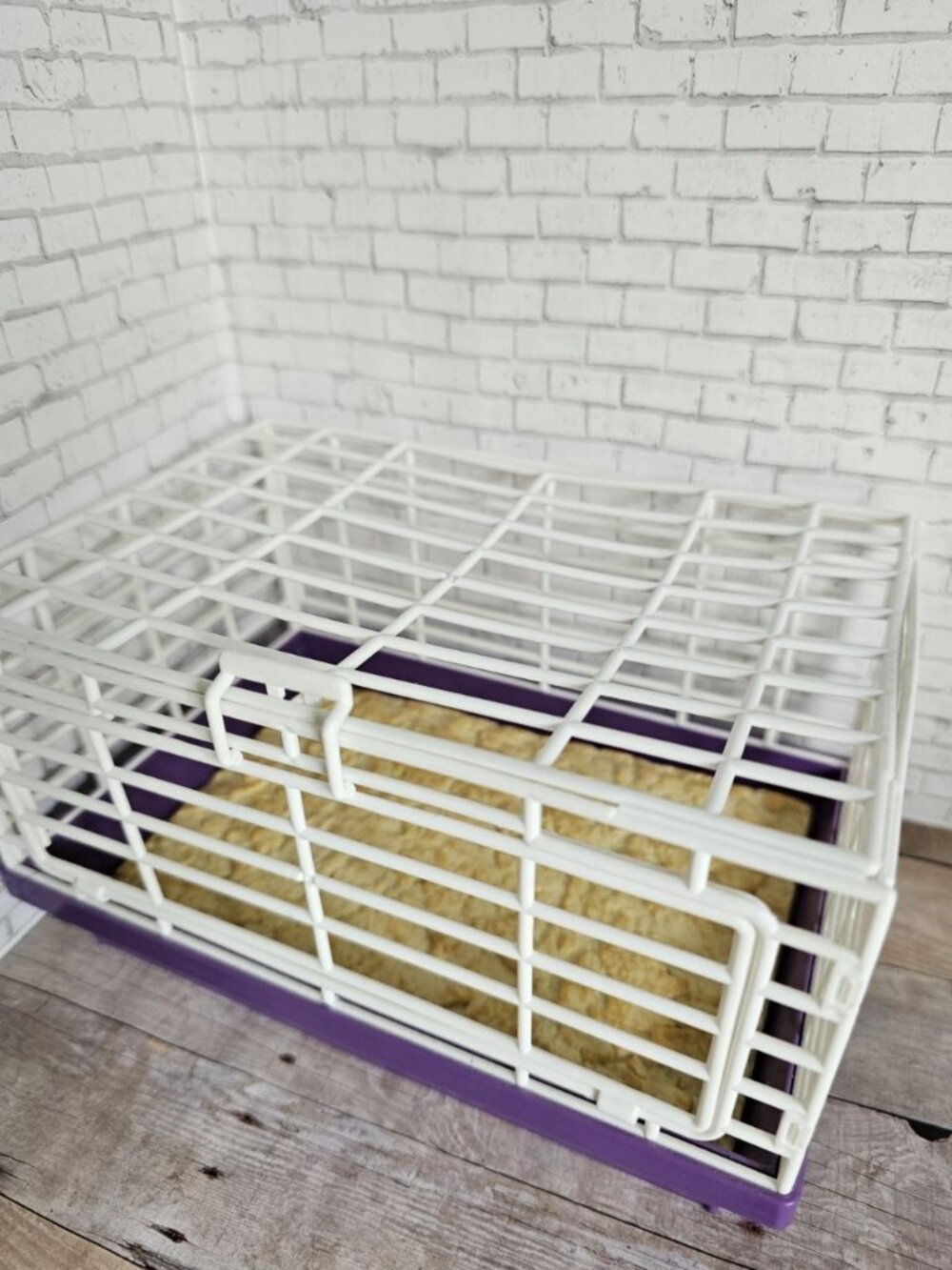 American Girl Courtney 1986 Parsley Guinea Pig Pet Cage Set Playset Archival - Picture 6 of 7